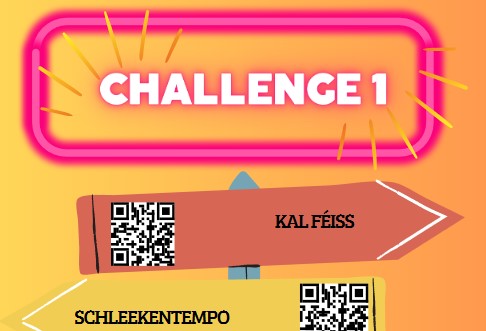 LEVEL UP - Challenge 1 fäerdeg - Challenge 2 am 2.Trimester